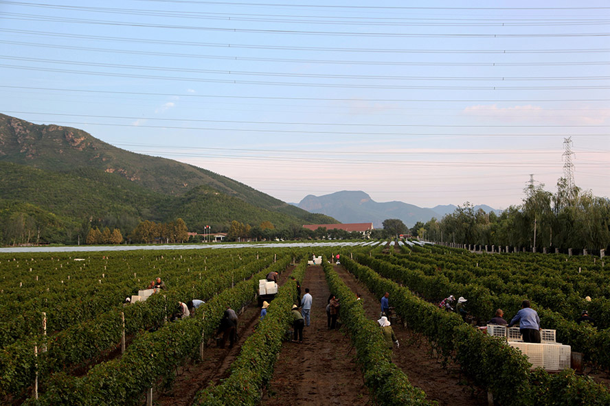     ѾƘI(y)޹˾a(chn)ƷС