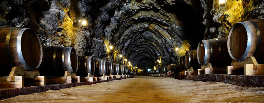 �����ݿ����t���ѾƘI���޹�˾