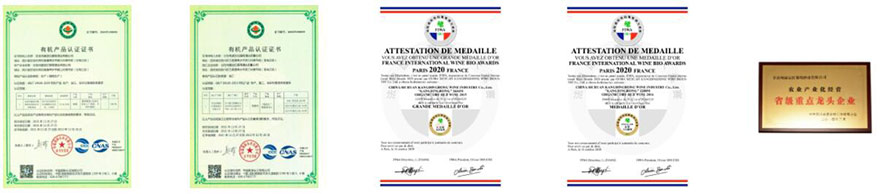 �����ݿ����t���ѾƘI���޹�˾