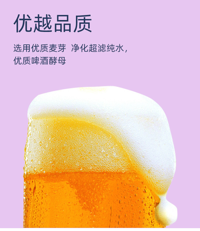 國(guó)寶熊貓百香果果味精釀啤酒