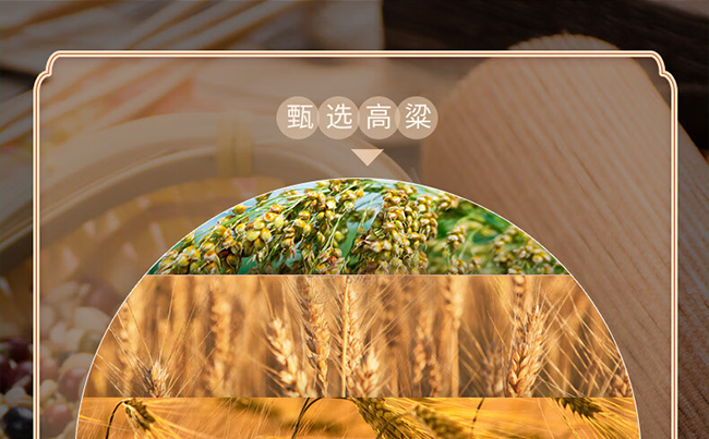 白水杜康酒青雅V20 清香型【53°475ml】