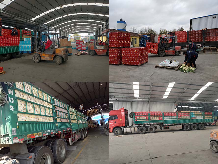 德國凱撒啤酒精釀有限公司