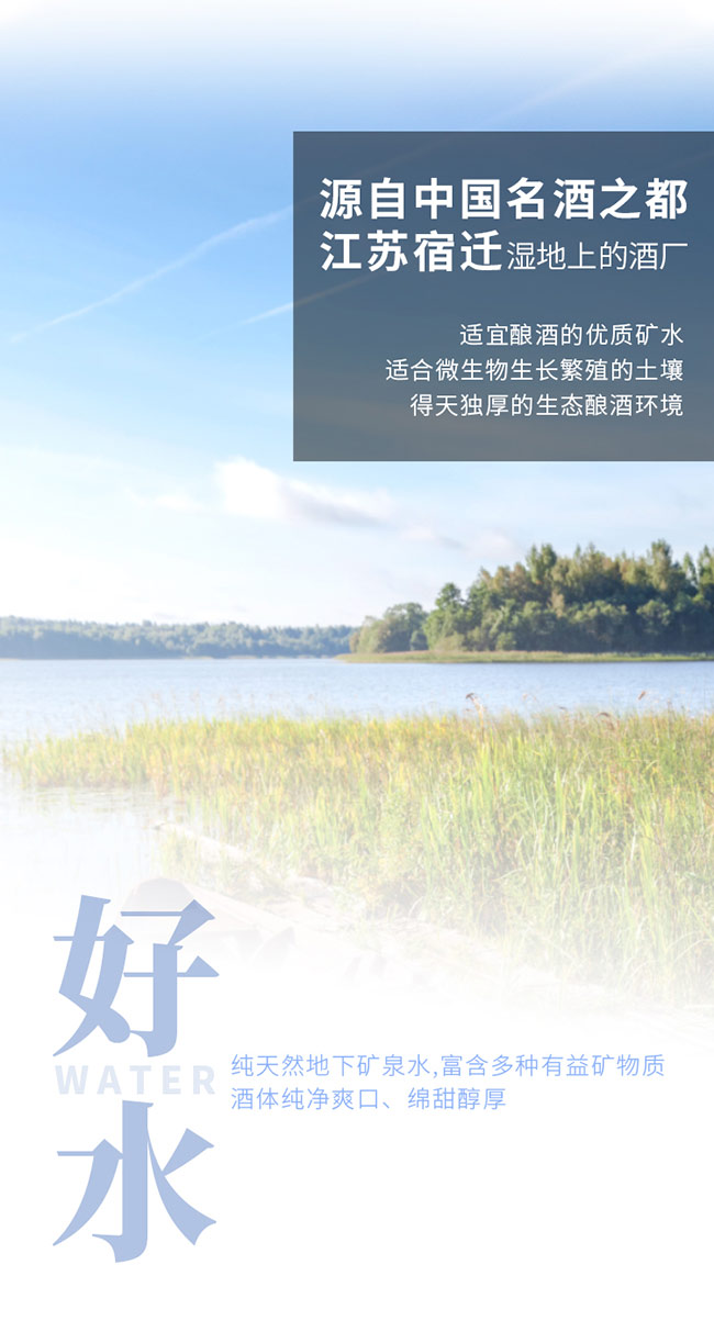 �����ഺ���������ڼZ�� �����Ͱ׾ơ�42�� 500ml��