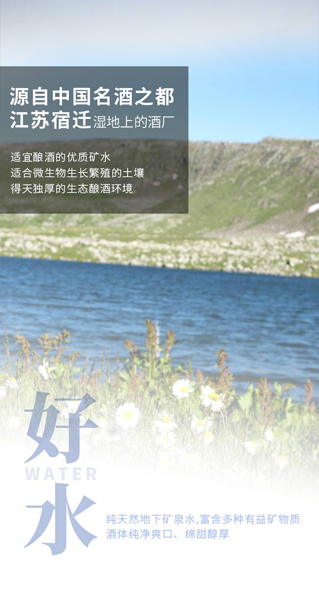 �����ഺ��Ʒ�ƃ�Ʒ�����;ơ�42��500ml��