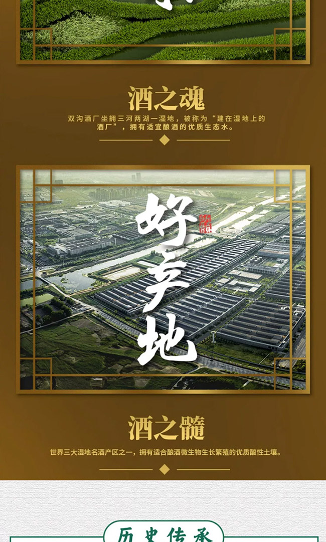 雙溝白酒鉑彩版