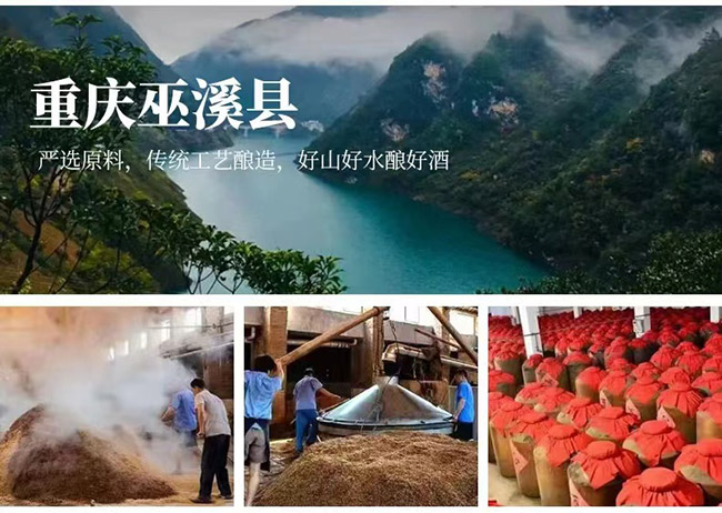 õ�e��÷�ơ�13�� 330ml��