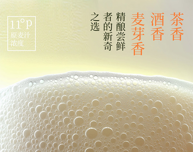 邂逅江南龍井精釀啤酒【11°P 390mL】